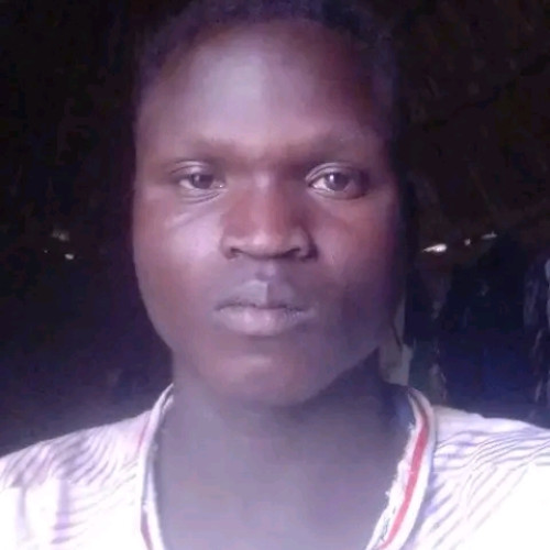 NOAH  H. profile photo