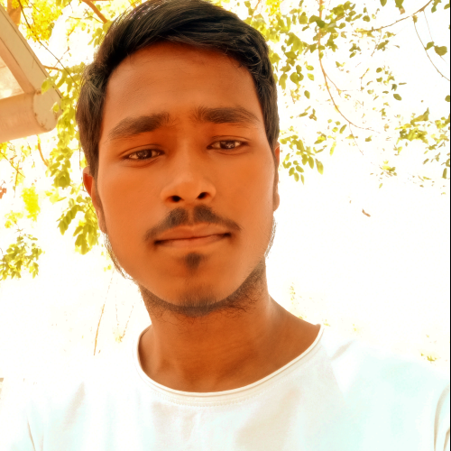 Ayush S. profile photo