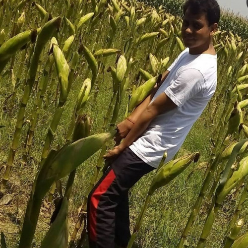 Praveen  K. profile photo