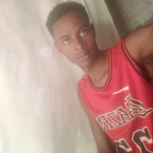 Simon N. profile photo