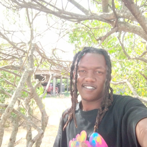 David k. profile photo