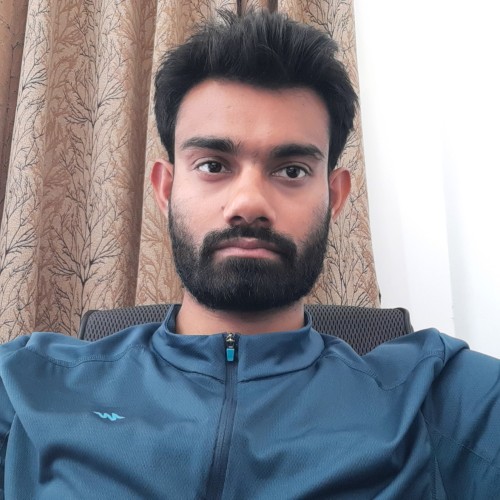 RAVI T.