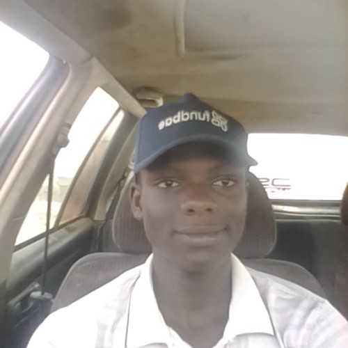 Akiwande A.