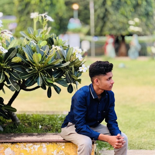 Adis A.