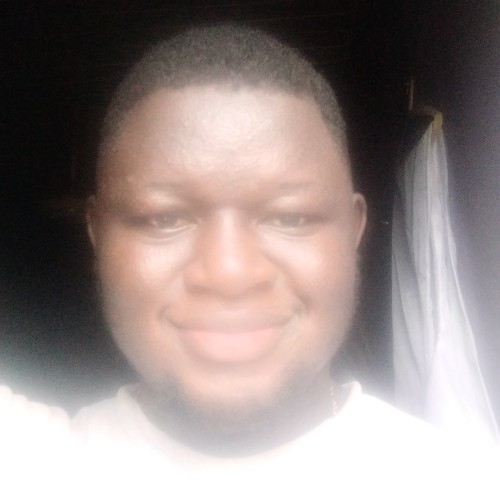 Adebowale S. profile photo