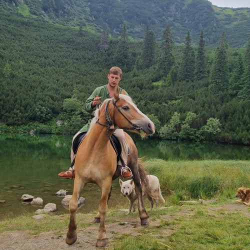 Sebastian B. profile photo