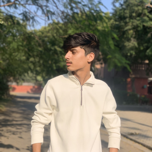 Ritik T. profile photo