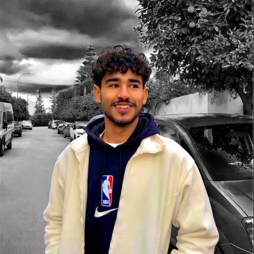 Driss N.