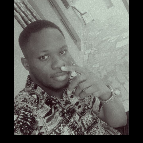 Chinedu louis A. profile photo