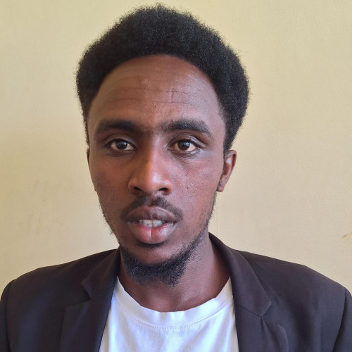 levis n. profile photo