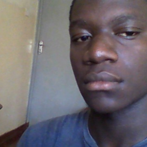 petcia s. profile photo