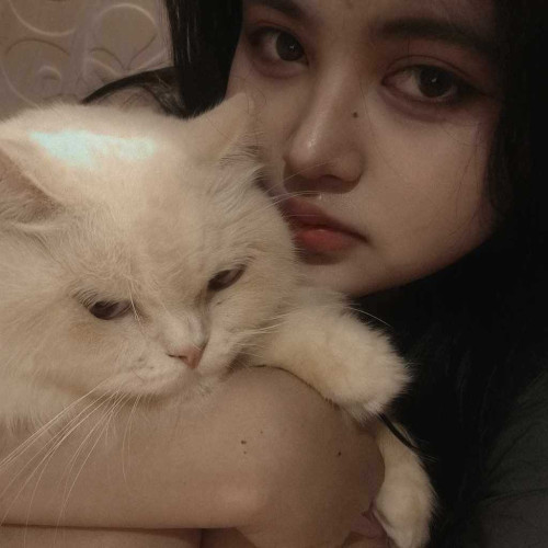 Kei S. profile photo