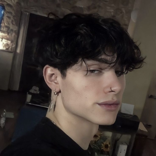 Noa D. profile photo