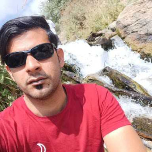 Sali S. profile photo