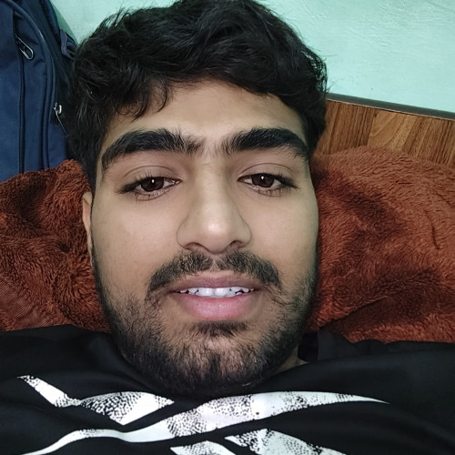 Naveen S. profile photo
