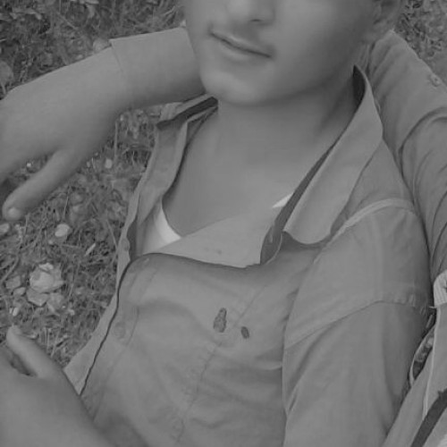 SAM Z. profile photo