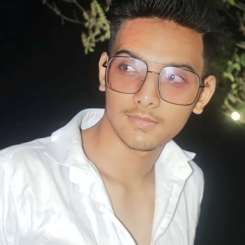 Ronak P. profile photo