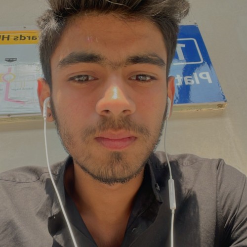 Siddhant M. profile photo