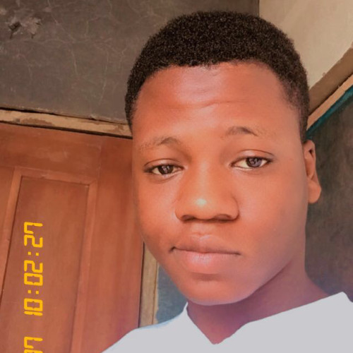 Abidemi  A. profile photo