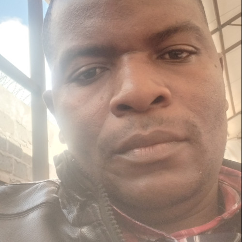 Festus M. profile photo