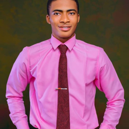 Chiagozie N. profile photo