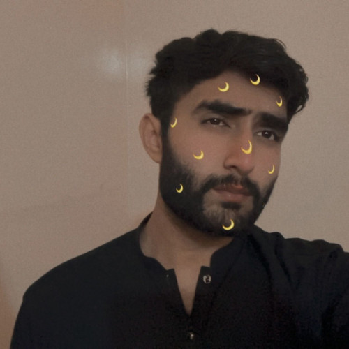 Talha Shahbaz S. profile photo