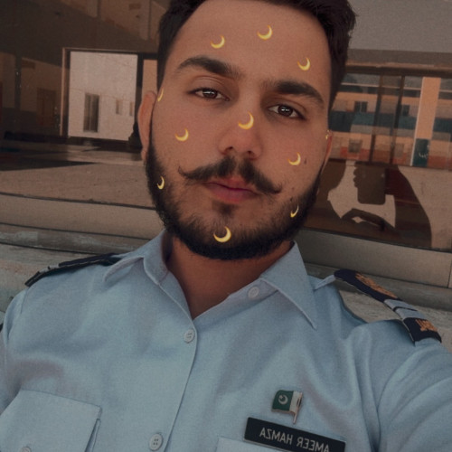Ameer H. profile photo