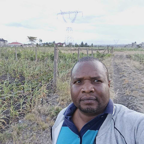 Peter M. profile photo