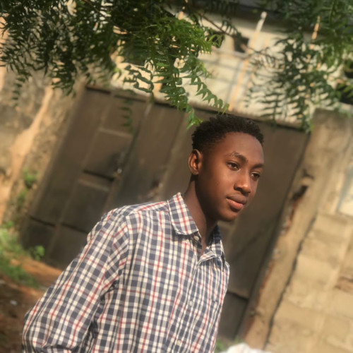 Adeniyi F.