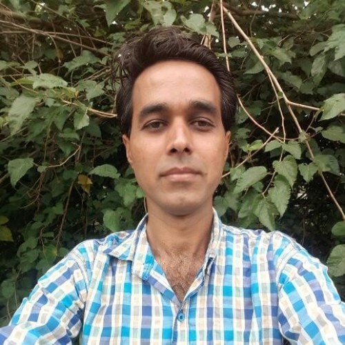 BANSI  R.