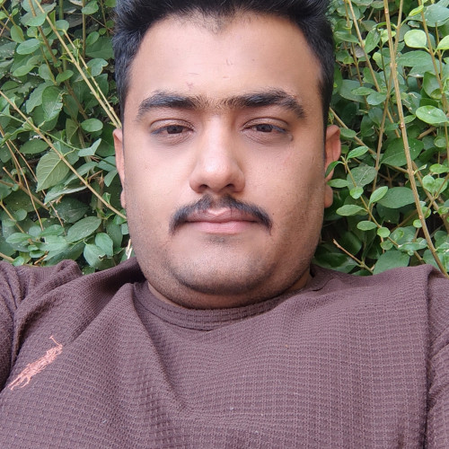 Amir K. profile photo