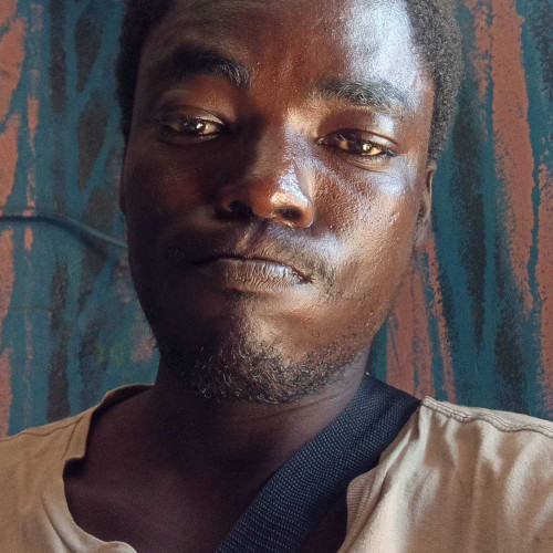 Steven P. profile photo