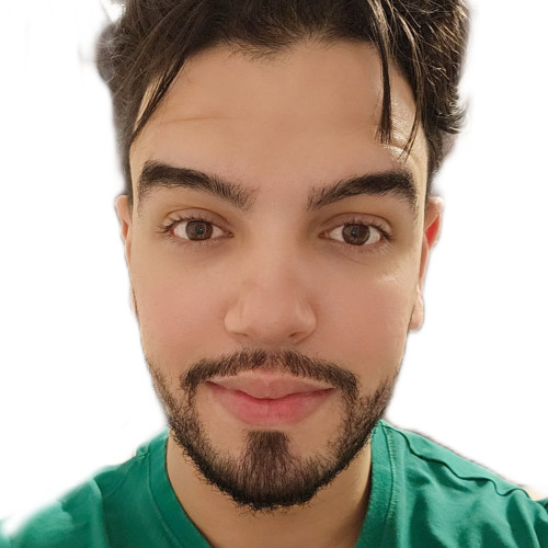 Mehdi S.