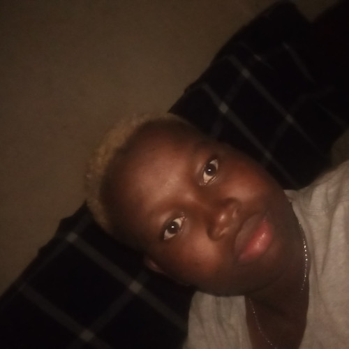 Tamara N. profile photo