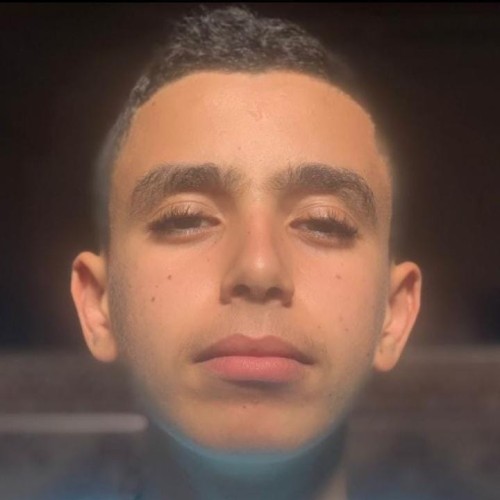 HOUDAIFA B. profile photo