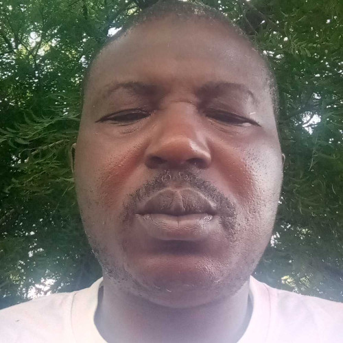 Dauda S. profile photo
