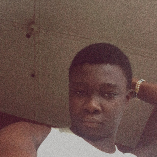 Omomehin O. profile photo