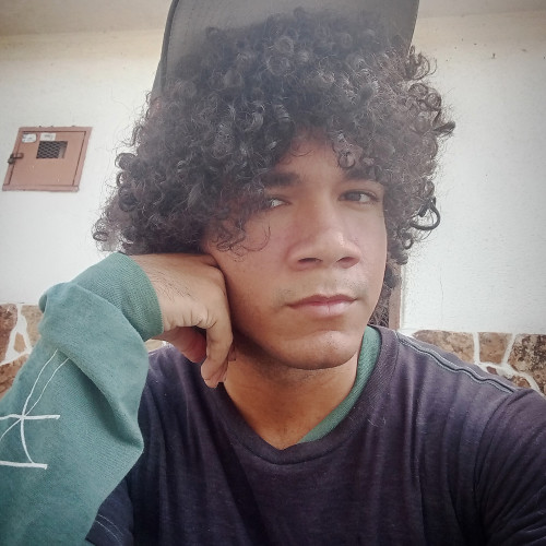 Shaun  L. profile photo