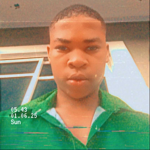 chiedozie e. profile photo