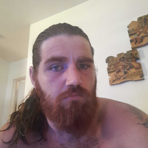 Dillon H. profile photo