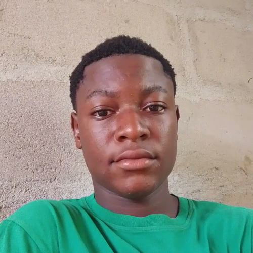 Ugbebor G. profile photo