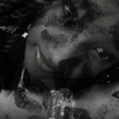 Shiz N. profile photo