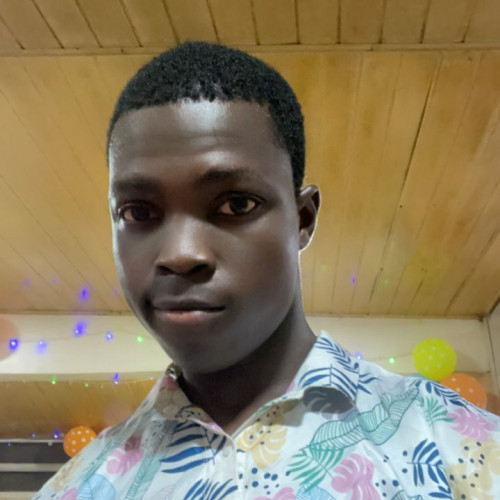 Opeyemi  A. profile photo