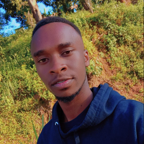 ALEX N. profile photo