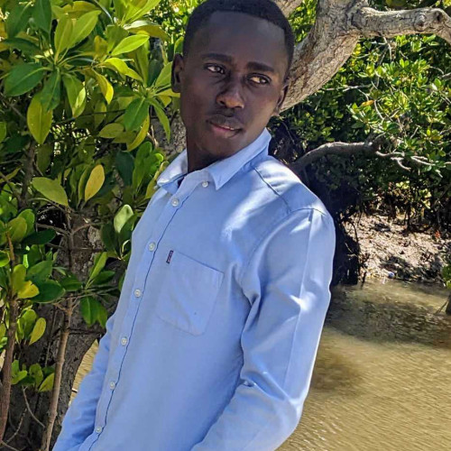 Dinatale x. profile photo