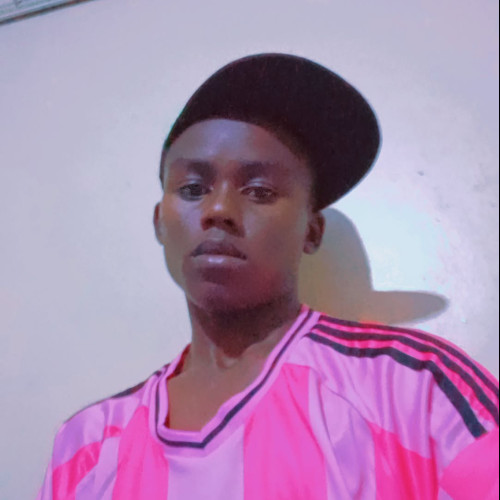 Daniel M. profile photo