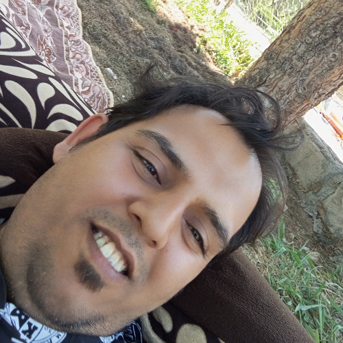 Mahmoodreza  M. profile photo