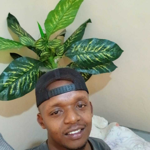 Dennis M. profile photo