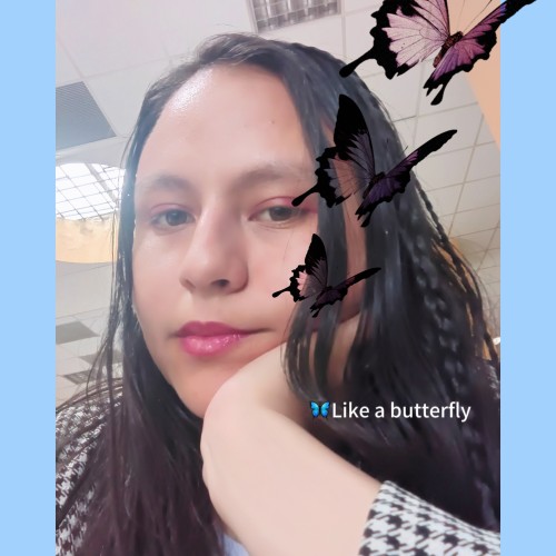 Viviana Idaly  S.
