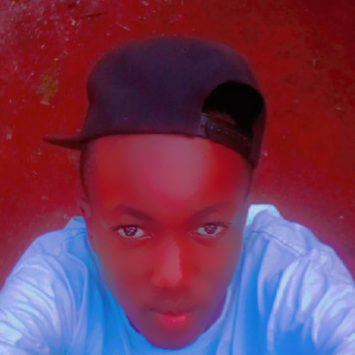 Ryan M. profile photo